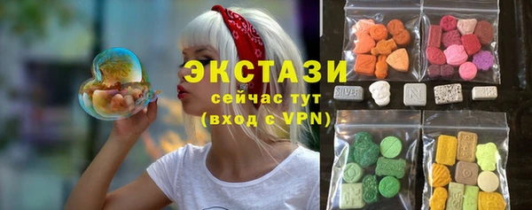 стаф Козловка