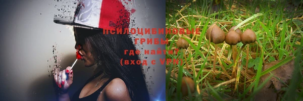 альфа пвп Кодинск