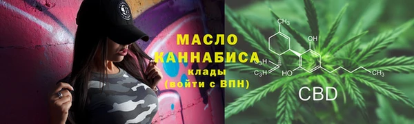 стаф Козловка