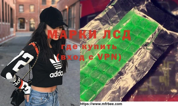 стаф Козловка