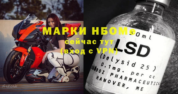 стаф Козловка
