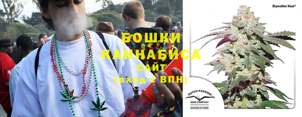 стаф Козловка