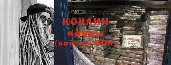 стаф Козловка