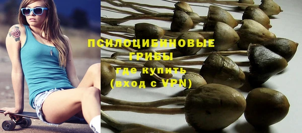 стаф Козловка