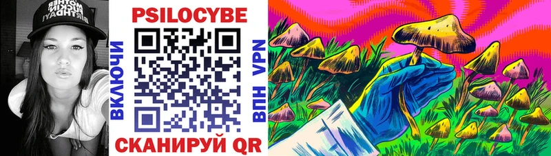 Купить закладки  Камышлов  Псилоцибиновые грибы Psilocybe 